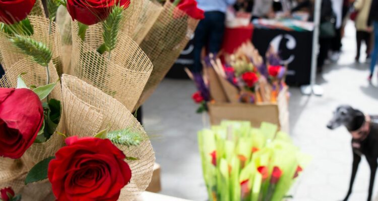 la légende de sant jordi