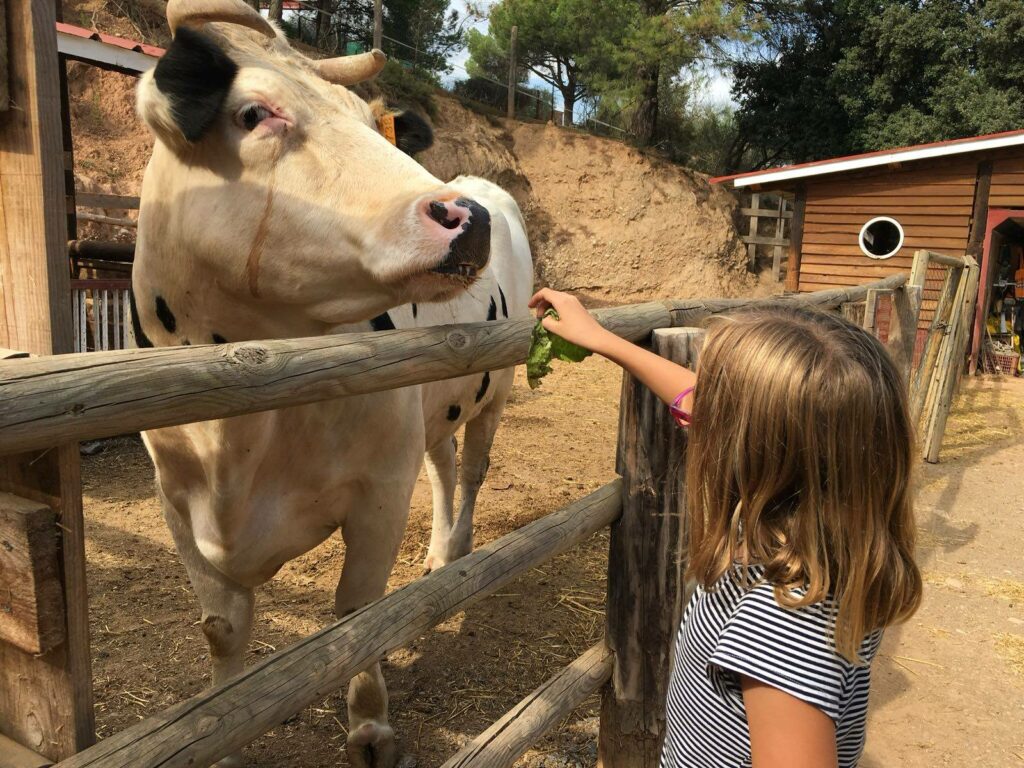 Granja Aventura Park