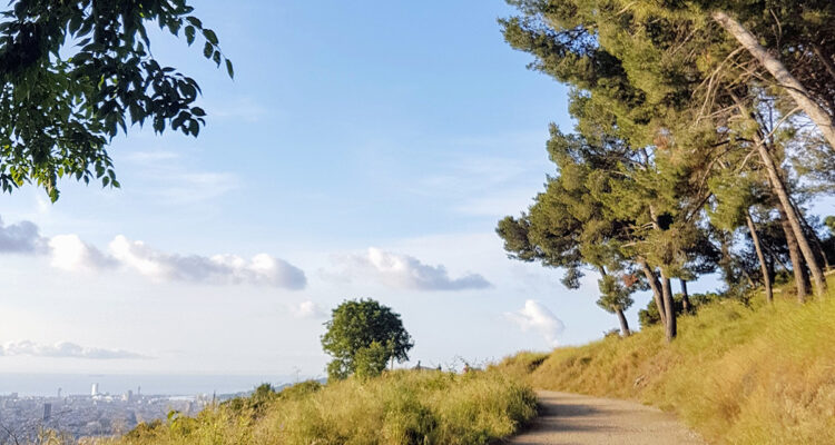 La Carretera de les Aigues