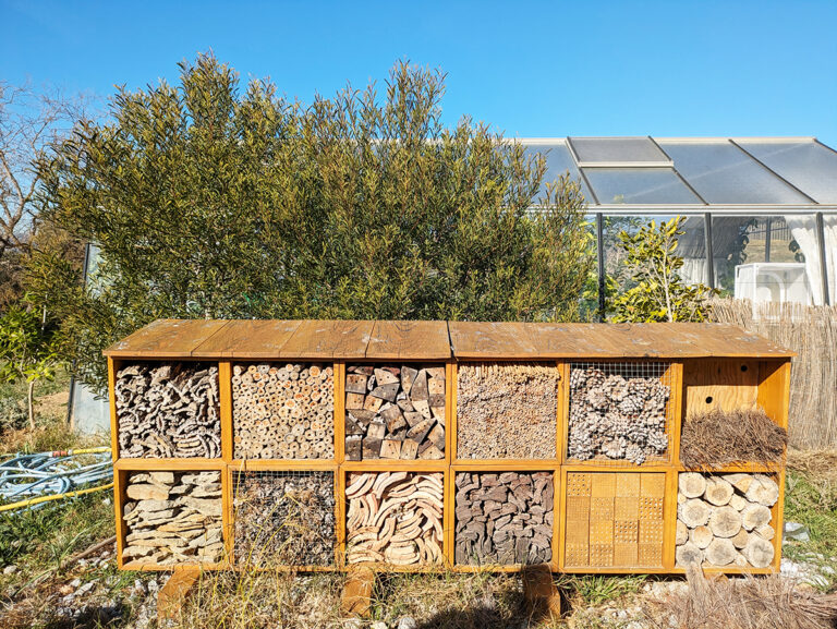 jardin botanique 1 768x577