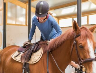 ou faire du poney à barcelone