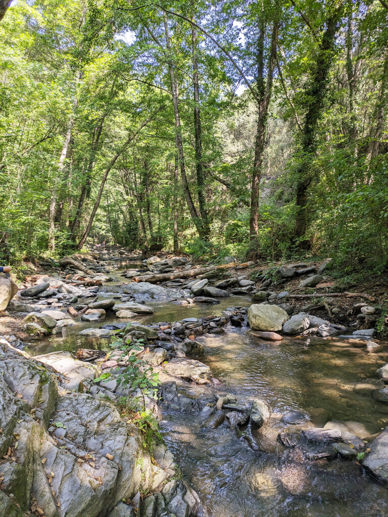 rivière montseny