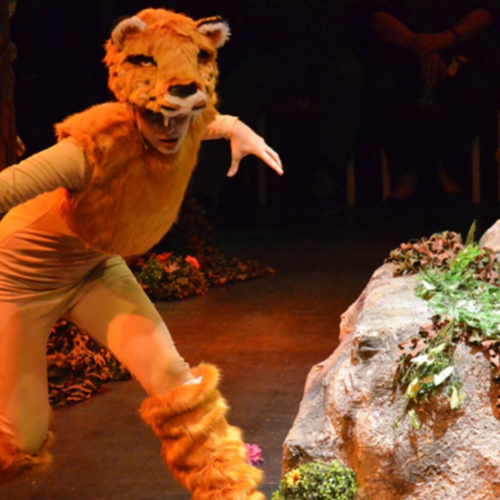 spectacle livre de la jungle a barcelone