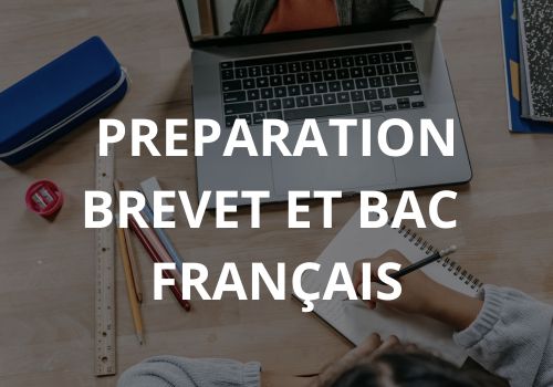 SOUTIEN scolaire brevet et bac en français