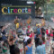 circorts 2025