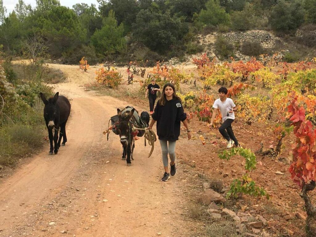 colonie pour enfants barcelone