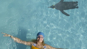 Com_els_pinguins.760×428.2592072d