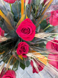 légende de la sant jordi