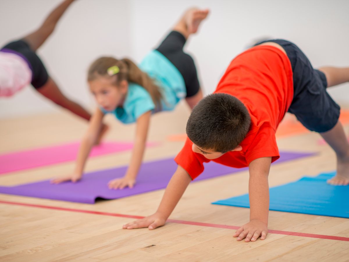 Activités pré-sportives - Institut Nacional d'Educació Física de Catalunya