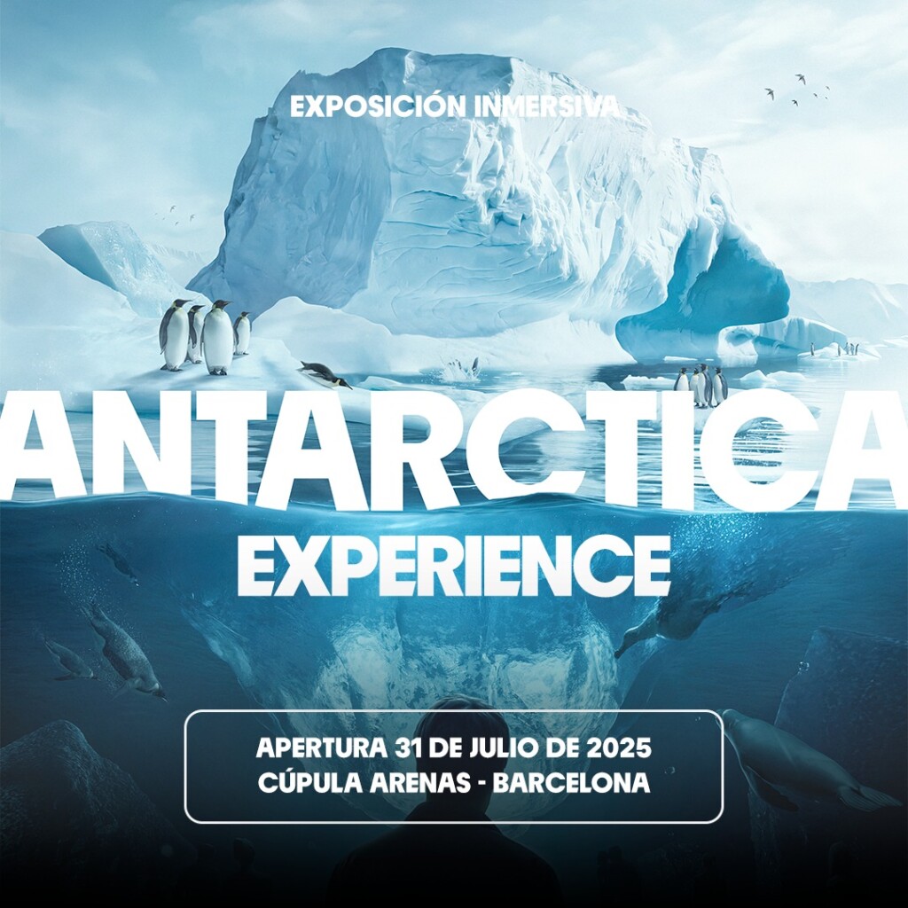 Antarctica Experience