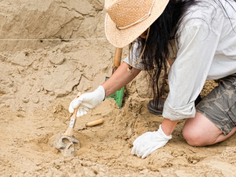Arqueolegs per un dia barcelone 768x576