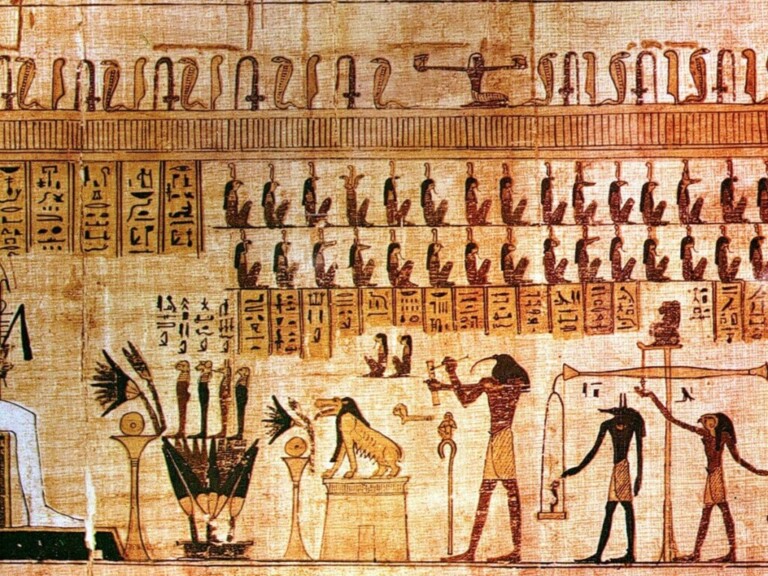 Nets i polits 1 768x576