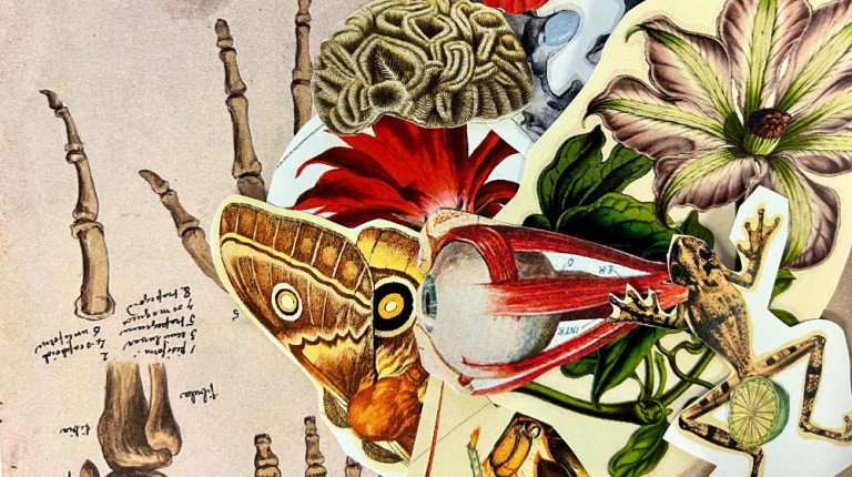 espai de mediacio   fitxa web 1 768x430