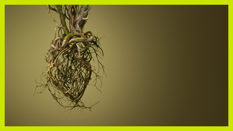 expo cccb barcelone 768x430